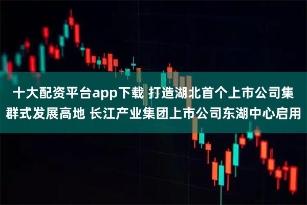 十大配资平台app下载 打造湖北首个上市公司集群式发展高地 长江产业集团上市公司东湖中心启用